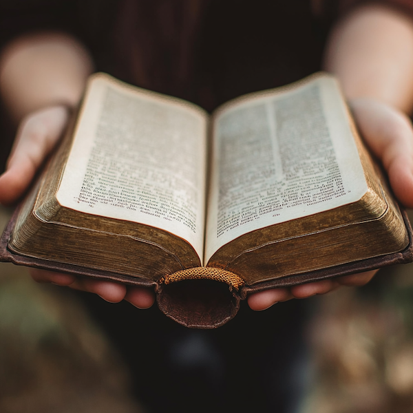 transform_your_faith_bible